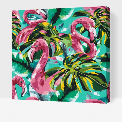 Picturi pe numere - Flamingo roz