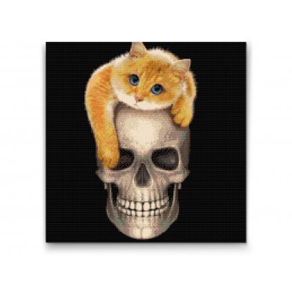 Goblen cu diamante - Pisică pe un craniu