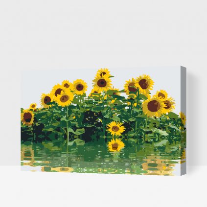 Picturi pe numere - Floarea soarelui pe malul apei