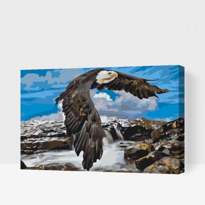 Picturi pe numere - Vultur lângă o cascadă