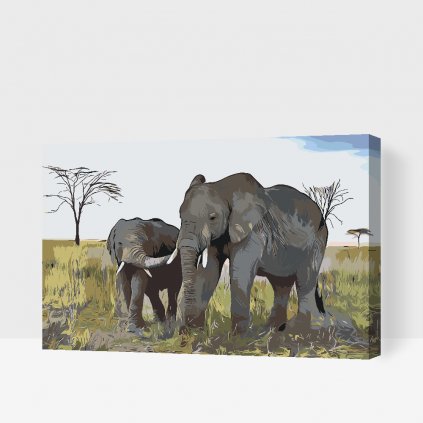 Picturi pe numere - Pui de elefant cu mama sa