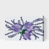 Picturi pe numere - Flori decorative