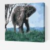 Picturi pe numere - Elefant în natură
