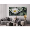 Picturi pe numere - Floare de lotus, simbolul înțelepciunii (set de 3)