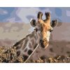 Pictură pe numere - Safari cu girafă