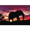 Goblen cu diamante - Elefant african la apus