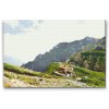 Goblen cu diamante - Munții Bucegi