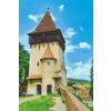 Goblen cu diamante - Biserica fortificată din Biertan