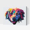 Pictură pe numere - Golden retriever colorat