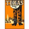 Picturi pe numere - Cowboy texan