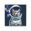 Goblen cu diamante - Vreau să fiu astronaut