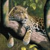 Goblen cu diamante - Leopard de copac