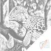 Pictură cu puncte - Leopard de copac