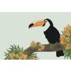 Pictură pe numere - Tucan pe o ramură