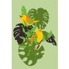 Pictură pe numere - Păsări pe o plantă monstera