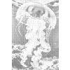 M11_Pictură_cu_puncte_-_Meduze_în_mare