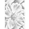 M11_Pictură_cu_puncte_-_Floare_de_cireș