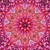 Picturi pe numere - Mandala 9