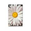 M2_Goblenuri_cu_diamante_-_Floare_de_părăluță