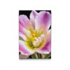 M2_Goblenuri_cu_diamante_-_Floare_de_frezie
