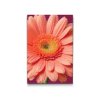 M2_Goblenuri_cu_diamante_-_Floare_de_gerbera