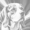 M11_Pictură_cu_puncte_-_Beagle_în_nuanțe_de_roșu_și_albastru