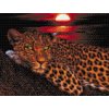 Goblen cu diamante - Leopard la apus
