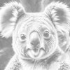 M11_Pictură_cu_puncte_-_Koala_în_nuanțe_de_turcoaz_și_portocaliu