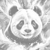 M11_Pictură_cu_puncte_-_Panda_în_nuanțe_de_turcoaz_și_portocaliu