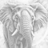 M11_Pictură_cu_puncte_-_Elefant_în_nuanțe_de_turcoaz_și_portocaliu