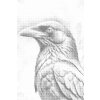 M11_Pictură_cu_puncte_-_Corb_în_nuanțe_de_turcoaz_închis