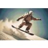 M11_Goblenuri_cu_diamante_-_Snowboarder_profesionist