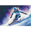 M11_Goblenuri_cu_diamante_-_Ski_alpin