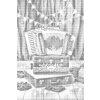 M11_Pictură_cu_puncte_-_Acordeon