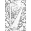 M11_Pictură_cu_puncte_-_Harpa_în_natură