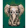 Pictură pe numere - Elefant cu ochelari