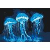 M11_Picturi_pe_numere_-_Meduză_neon