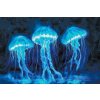 M11_Goblenuri_cu_diamante_-_Meduză_neon