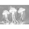 M11_Pictură_cu_puncte_-_Meduză_neon