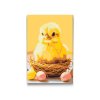 M2_Picturi_pe_numere_-_Pui_de_Paște_cu_ouă
