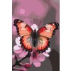 M11_Picturi_pe_numere_-_Fluture_pe_o_ramură_de_primăvară