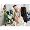 M9_Picturi_pe_numere_-_Pui_de_Border_Collie