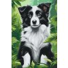 M11_Picturi_pe_numere_-_Pui_de_Border_Collie