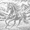 M11_Pictură_cu_puncte_-_Armăsar_negru
