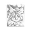 M2_Pictură_cu_puncte_-_Pisică_Maine_Coon