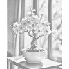 M11_Pictură_cu_puncte_-_Bonsai_de_sakura_la_fereastră