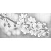 M11_Pictură_cu_puncte_-_Flori_de_primăvară_ale_sakurei