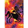 M11_Goblenuri_cu_diamante_-_Semn_zodiacal_–_Săgetător