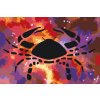 M11_Picturi_pe_numere_-_Semn_zodiacal_–_Rac