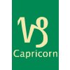 M11_Picturi_pe_numere_-_Semn_zodiacal_–_Capricorn